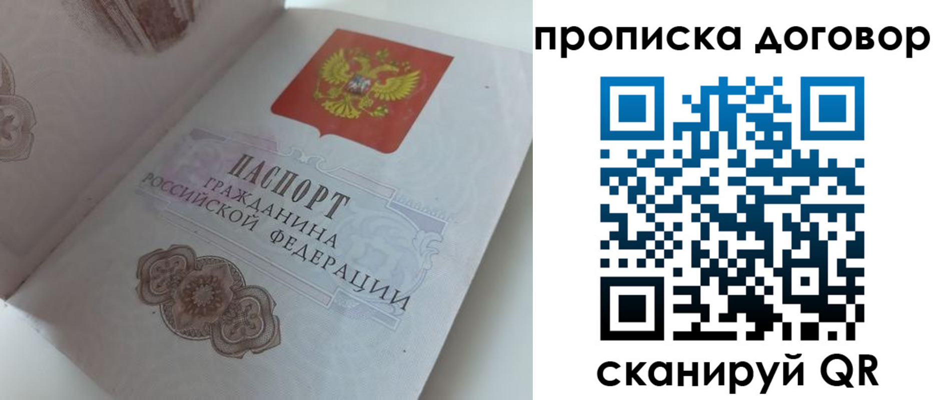 прописка поиск в Челябинской области