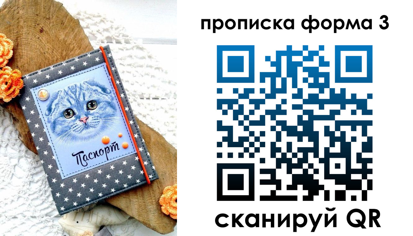 временная регистрация собственник в Челябинской области